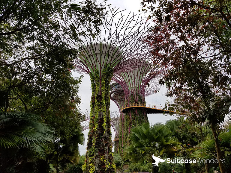 gardens-of-the-bays-singapore